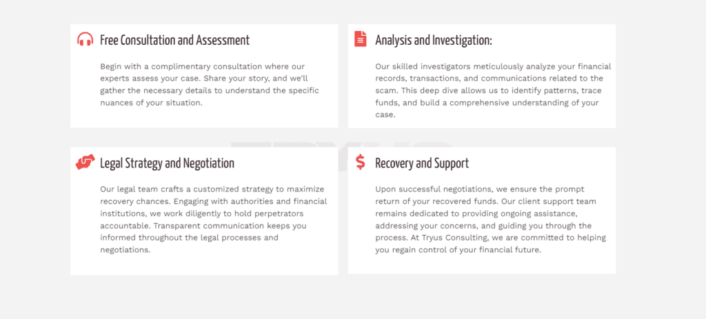 Try Us Consulting services