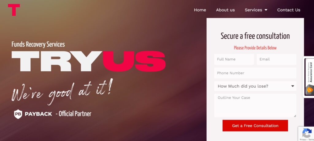 Try Us Consulting website